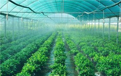 How to build  green houses or Polihouse