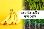কল খেতি আৰু ইয়াৰ পৰিচৰ্যা-