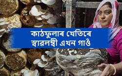 Haryana's successful Women Mushroom farmer