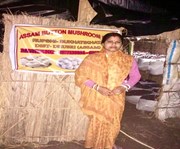 বাটন কাঠফুলাৰ খেতি কৰি স্বনির্ভৰশীলতাৰ সপোন দেখিছে ধুবুৰীৰ এইগৰাকী মহিলাই