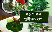  কচু শাকৰ পুষ্টিগত গুণ আৰু স্বাস্হ্য উপকাৰিতা-
