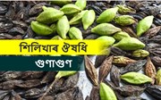 বিভিন্ন ৰোগৰ মহৌষধি শিলিখা-
