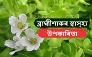 ব্ৰাহ্মীশাকৰ স্বাস্হ্য উপকাৰিতা-