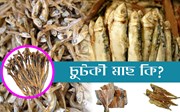 শুকান মাছ খেৱাৰ স্বাস্হ্য উপকাৰিতা-