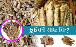 Health Benefit of Dry Fish