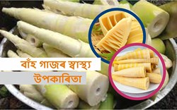 Health Benefit of Bamboo Shoot