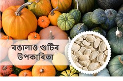 Health Benefit of Pumpkin seeds