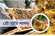 মৌ-মাখি পালন সম্পৰ্কে কিছু গুৰুত্বপূৰ্ণ কথা-