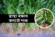 কলমৌ শাকৰ স্বাস্হ্য উপকাৰিতা সম্পৰ্কে কিছু কথা-