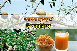 Know About Health Benefit of Bael Fruit