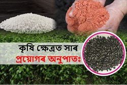 Fertilizer application in agriculture depending on the quality of the soil