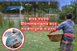 Preventive Measures taken by Fish Farmer During Flood