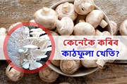 বৈজ্ঞানিক পদ্ধতিত কেনেদৰে কৰিব কাঠফুলা খেতি?