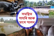 সমন্বিত গাহৰি আৰু মৎস পালন সম্পৰ্কে  কিছু কথা-
