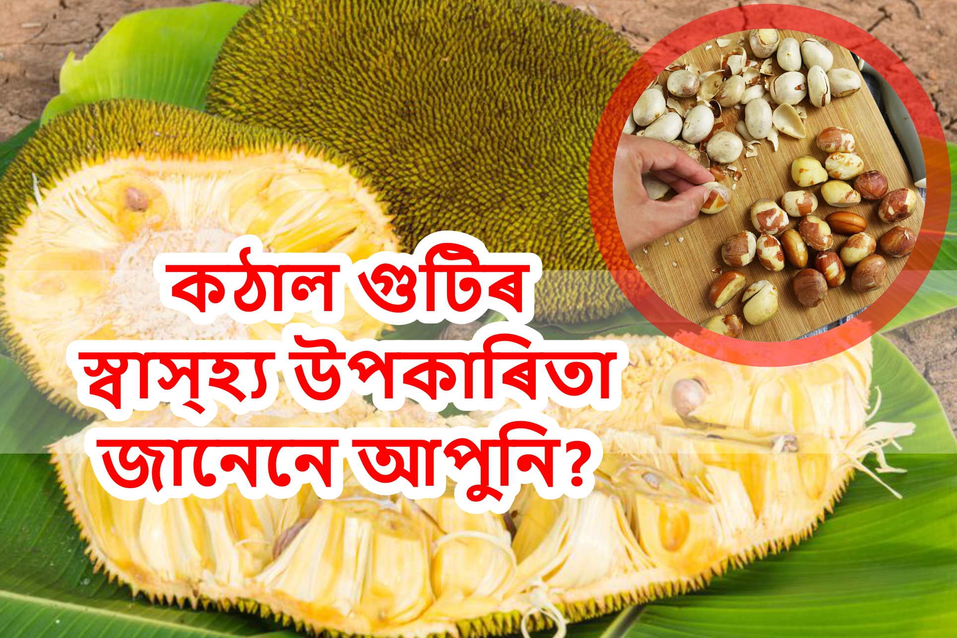 Health Benefit Jackfruit Seeds