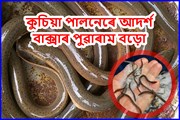 কুচিয়া পালনেৰে স্বনিয়োজনৰ নিদৰ্শন বাক্সাৰ পুৱাৰাম বড়ো