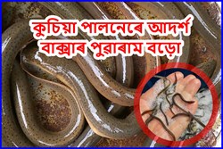 Baksa Kuchia Farmer Poaram Boro success Story