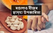 পুৰুষৰ শুক্ৰাণুৰ মানদণ্ড উন্নত কৰাৰ সহায়ক ৰঙালাও বীজ!