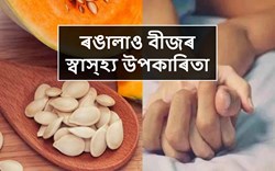 Health benefit of Pumpkin Seeds (1)