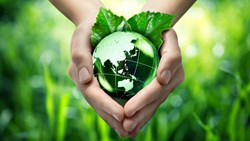 Why  World Environment Day is Celebrated