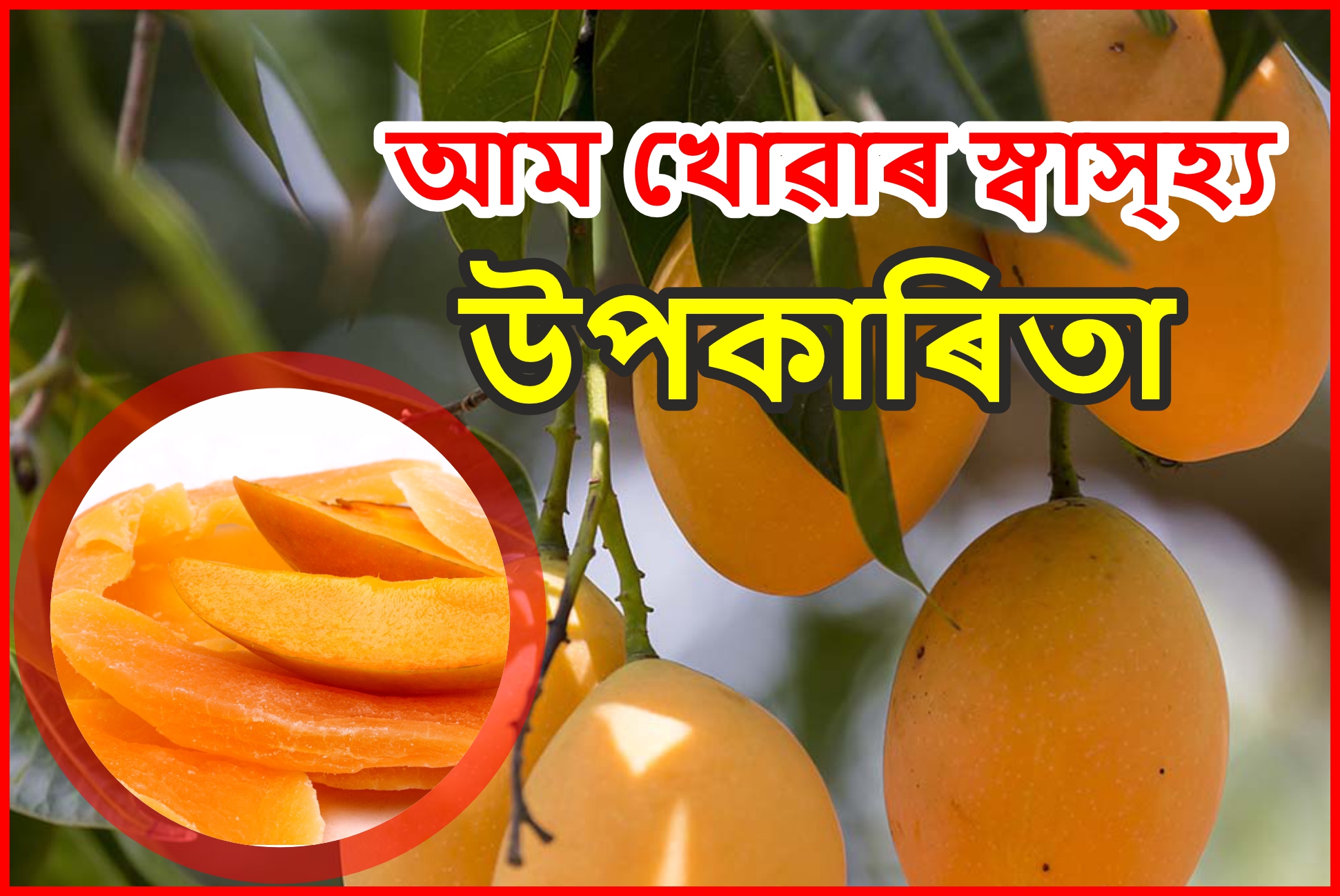 Various Health Benefit of Mango