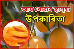 Various Health Benefit of Mango
