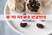 ক'লা নহৰুৰ ব্যৱসায়েৰে লাখ টকা উপার্জনৰ সুযোগ, জানক কেনেকৈ?