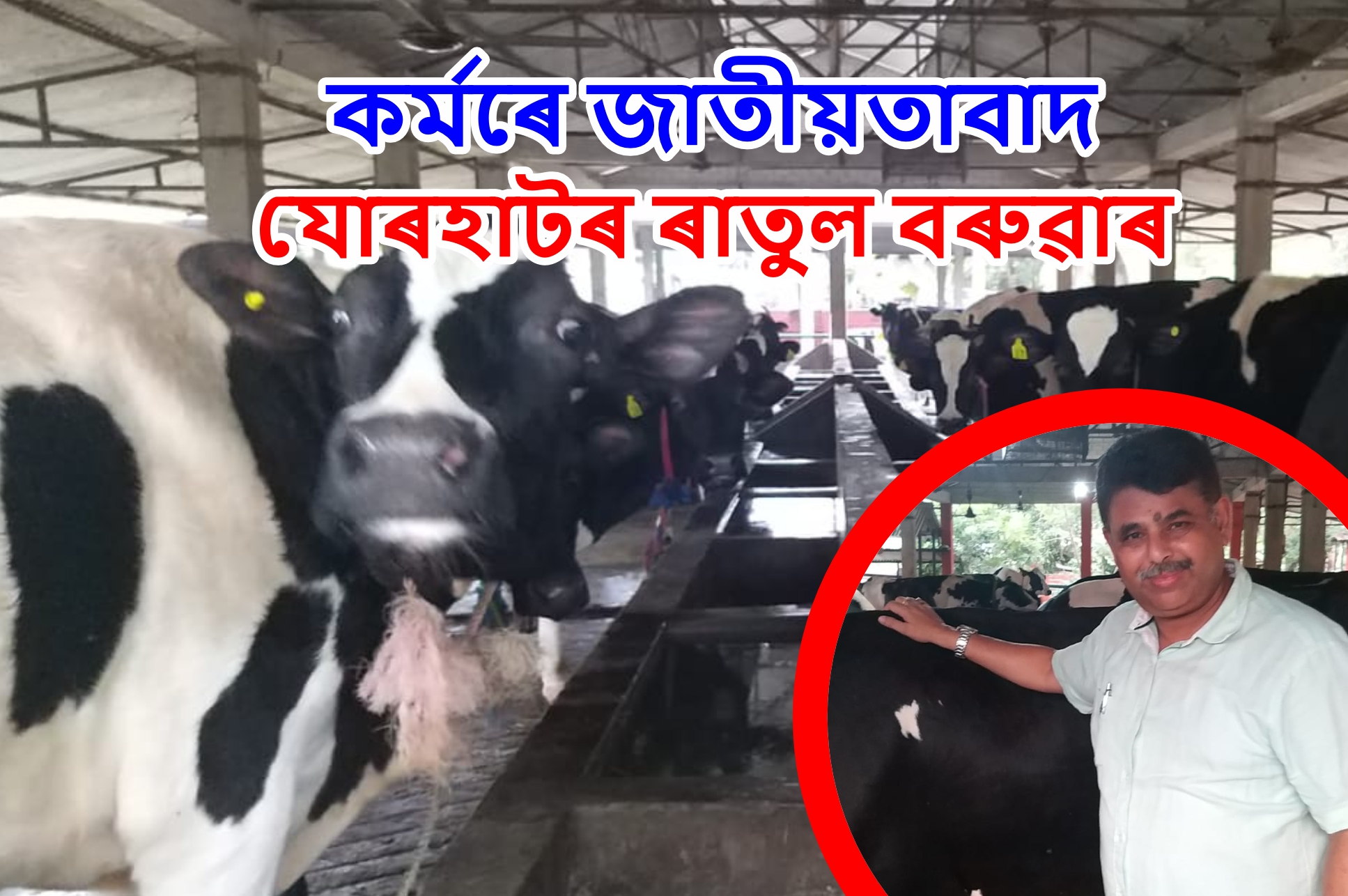 Successful Dairy Farmer Ratul Baruah
