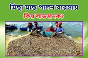Prawn Fish farming: প্ৰন ফিছ ফাৰ্মিঙৰ জৰিয়তে উপাৰ্জনৰ সুযোগ!