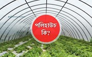 পলিহাউচ কি? গ্ৰীণ হাউচ আৰু পলিহাউচৰ মাজত মাজত পাৰ্থক্য জানেনে আপুনি?
