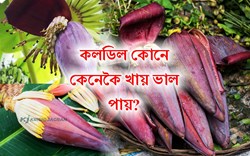 Health Benefit of eating Banana Flower