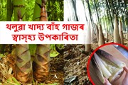 বাঁহ গাজৰ ব্যঞ্জন ভাল পাই নেকি আপুনি?  জানক ইয়াৰ স্বাস্হ্য উপকাৰিতাসমূহ কি কি?