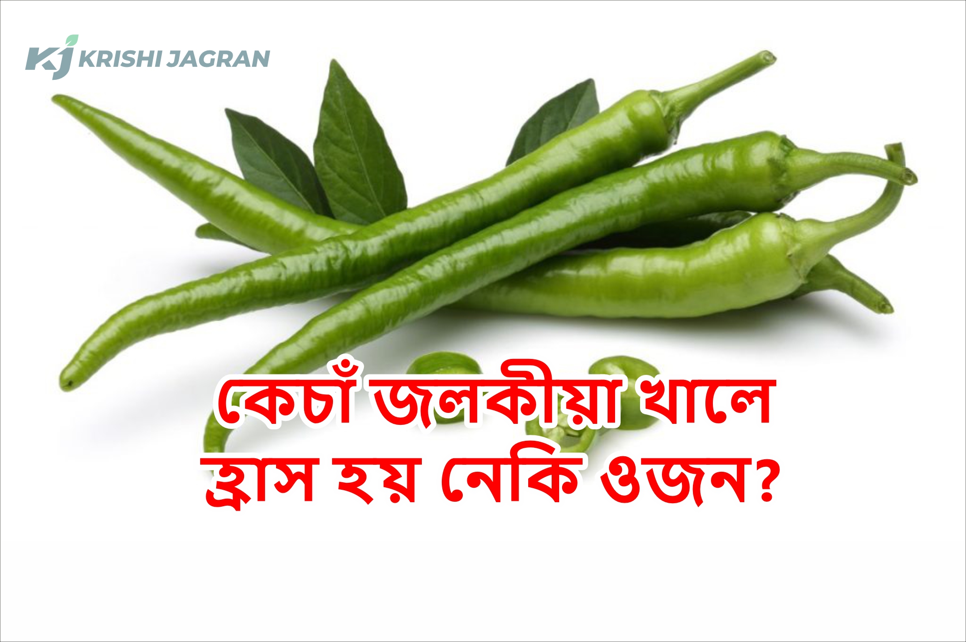 Green Chilies for Weight Loose