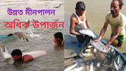 Fish Farming: উন্নত পদ্ধতিৰে মীন পালন কৰি বৃদ্ধি কৰক উপাৰ্জন