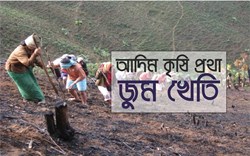 Jhum Cultivation