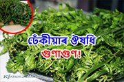 ঢেঁকীয়া  ভাল পায় নেকি আপুনি? কি কি স্বাস্হ্য উপকাৰিতা আছে ঢেঁকীয়াত?