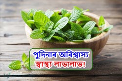 Health Benefits of Spearmint