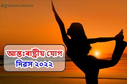 International Yoga Day : Importance of Yoga in our Day to Day Life