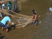 বানপানীৰ পিছত কি কি কৰিব মীন পালকসকলে?