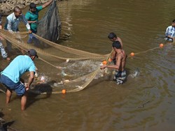 Fish Farming: Flood! Fish farmers Should do after floods?