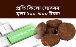Cow Dung Business! Profitable Business for rural farmer