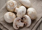 Mushroom: কাঠফুলা খোৱাৰ ৬ টা অবিশ্বাস্য লাভালাভ!