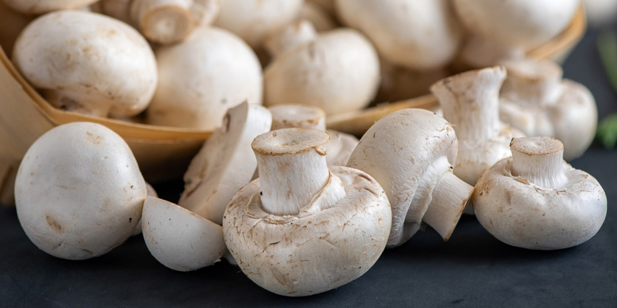 Health Benefit of eating Mushroom