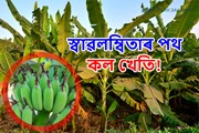 কল খেতিঃ অসমৰ নিৱনুৱাৰ বাবে জীৱিকাৰ সম্ভাৱনাপূৰ্ণ পথ!