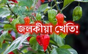 জলকীয়া খেতিৰ বাবে জলবায়ু আৰু মাটি নিৰ্বাচন