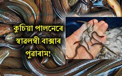 Baksa Ideal Kuchia Fish Farmer Poaram Bodo Story