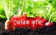 জৈৱিক কৃষি: প্ৰয়োজনীয়তা আৰু সম্ভাৱনা