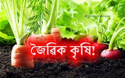 Organic Farming: Needs and Possibilities