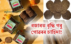 Cow Dung! Multiple Utilities in Indian Society