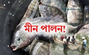 Fisheries: বানাক্ৰান্ত অঞ্চলত মীন পালন